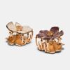 2er-Set Haarspangen mit Emaille-Blumen