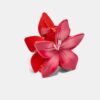 Blumen-Clip
