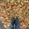 Bootcut-Jeans mit niedriger Taille
