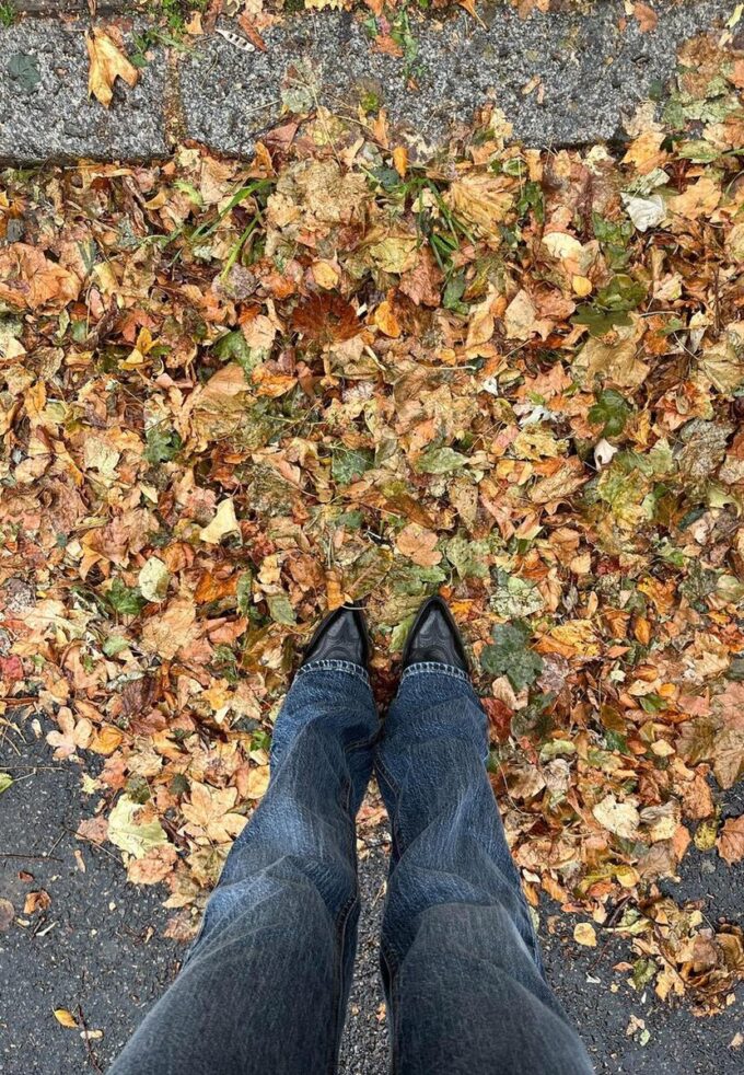Bootcut-Jeans mit niedriger Taille